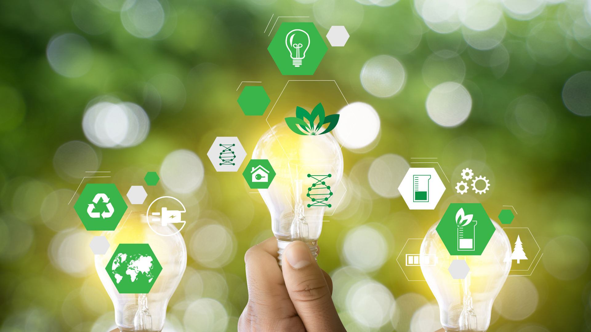 Incentivos para a eficiência energética e descarbonização das empresas portuguesas