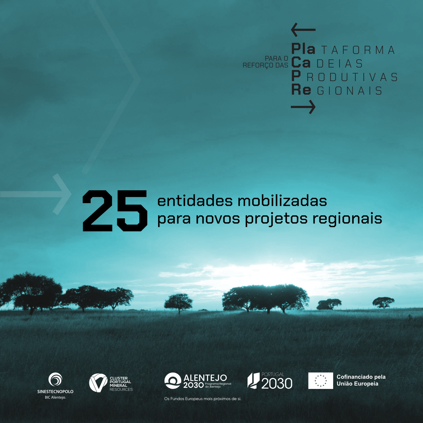 25 entidades contribuem para identificar novos projetos para o Alentejo