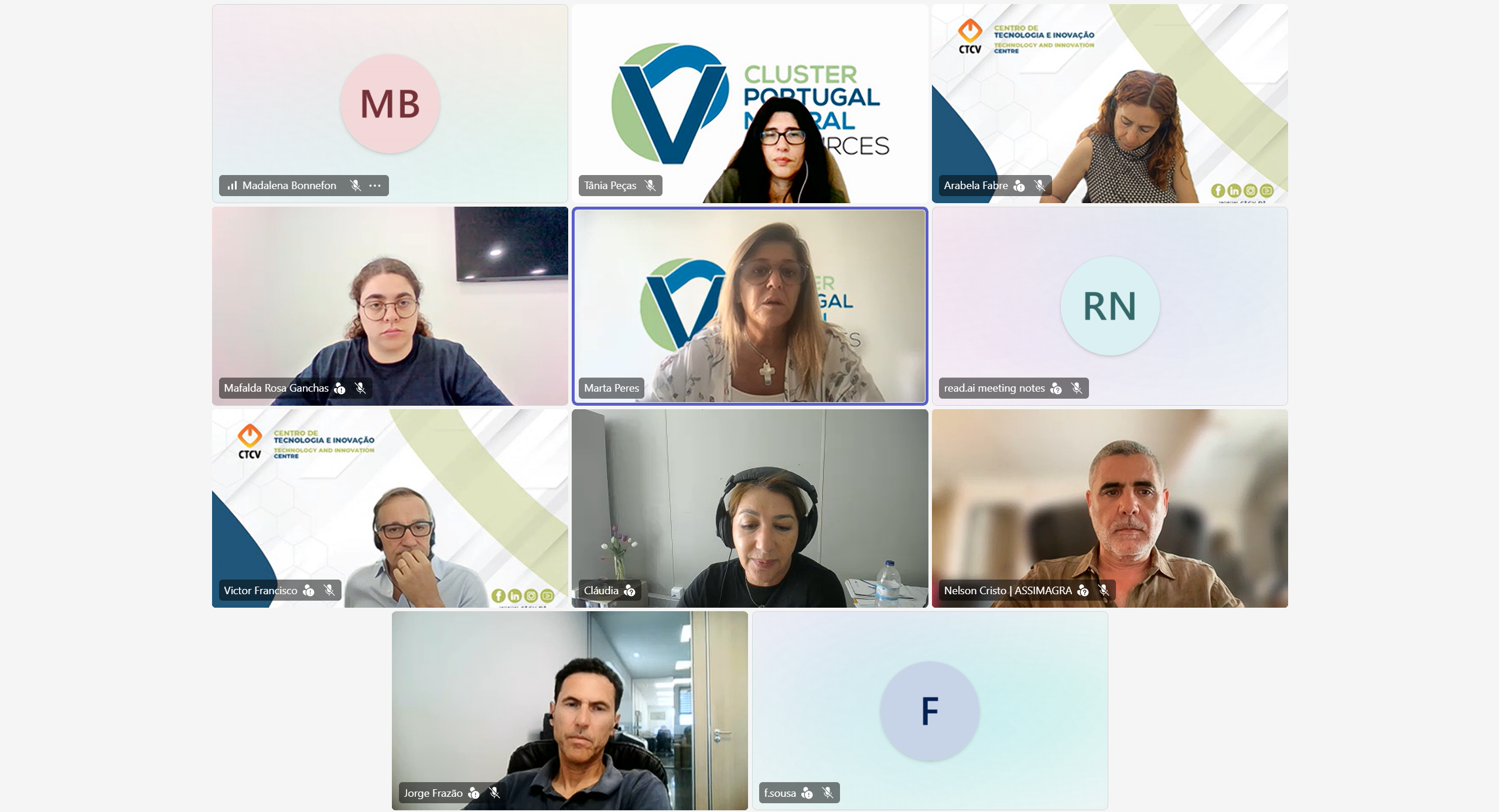 Ciclo de Webinars “Do Plano à Ação – Consórcios CLUSTER DOS RECURSOS MINERAIS”